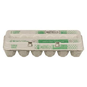 Oeufs blancs gros pack de 12 Nutri