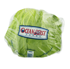 Laitue iceberg