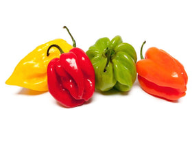 Piment fort