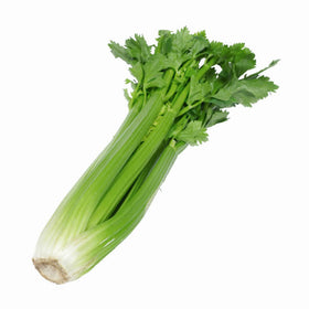 Céleri