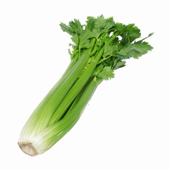 Céleri