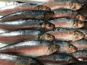 Sardines frais 1kg