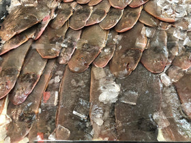 Arôme tout usage 1kg Jumbo
