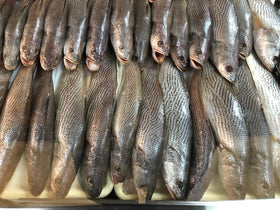 Sosso bar blanc frais 1kg