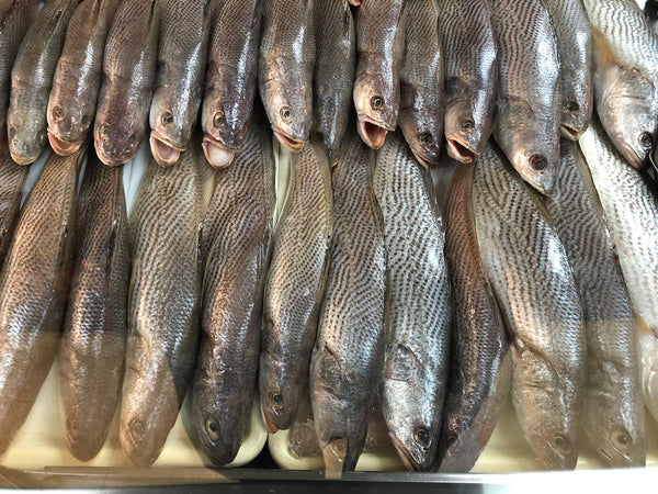 Sosso bar blanc frais 1kg