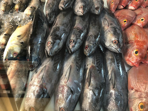 Thon frais 1kg