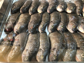 Tilapia frais 1kg
