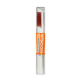 Brosse à dent Wlsdom