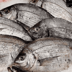 Dorade grise 1KG