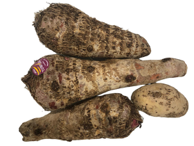 Malanga rouge 1kg