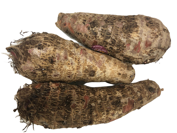Malanga blanc 1kg